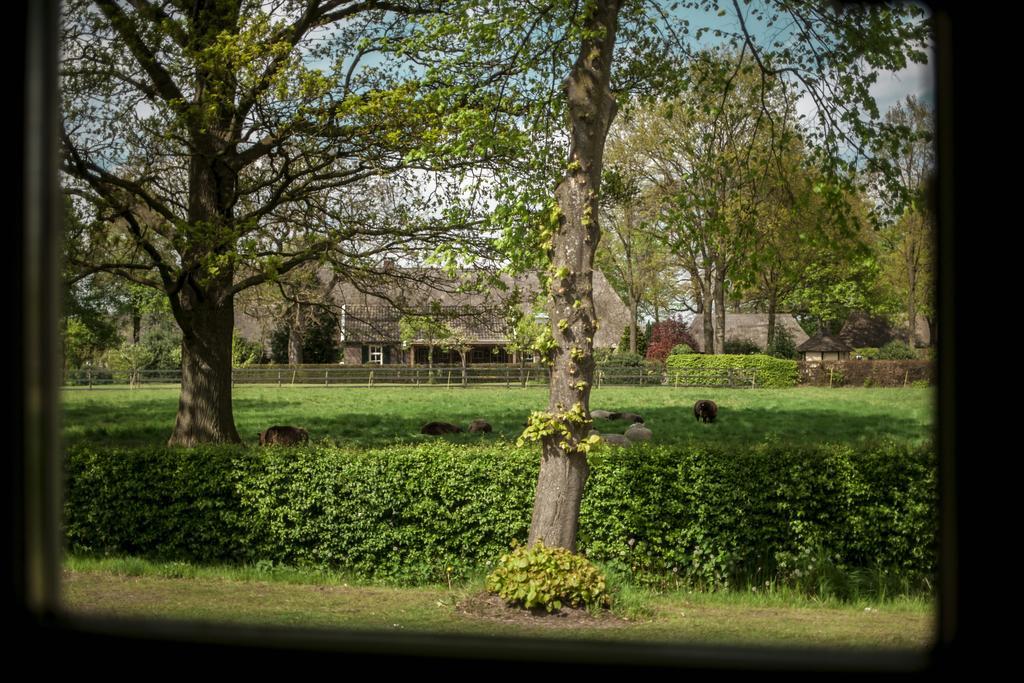 Rheezerstee Bed & Breakfast エクステリア 写真